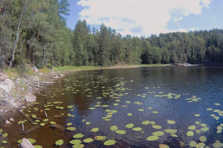 Scandtrack Kanutour Schweden 120180729130640004