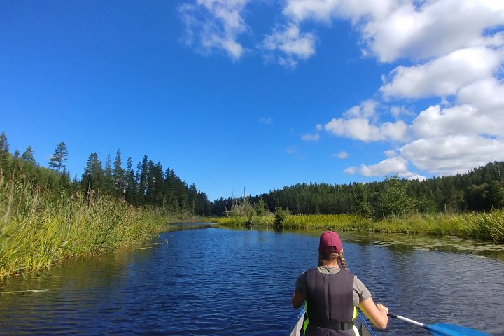 Scandtrack Kanutour Schweden 20180813112446