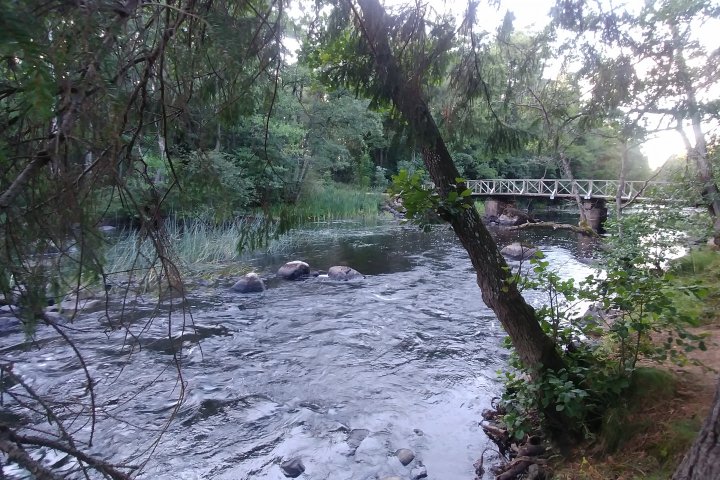 Scandtrack Kanutour Schweden 20180813195930