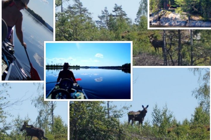 Scandtrack Kanutour Schweden Bild23