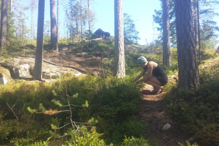 Scandtrack Kanutour Schweden 20180703130820