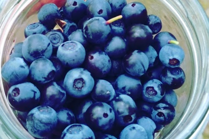 Scandtrack Kanutour Schweden Beeren