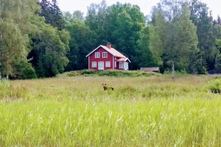 Scandtrack Kanutour Schweden IMG20190707100709