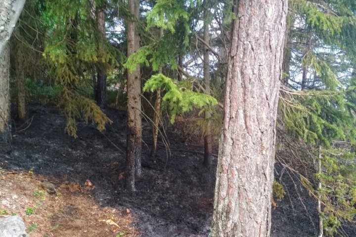 Scandtrack Kanutour Schweden IMG201907121510231