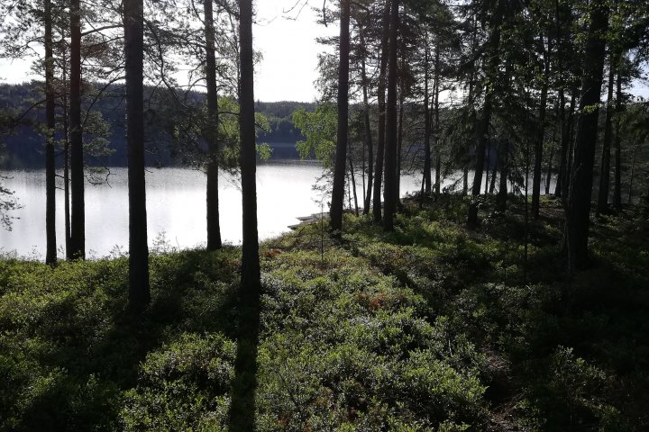 Scandtrack Kanutour Schweden 2019060207h19m56