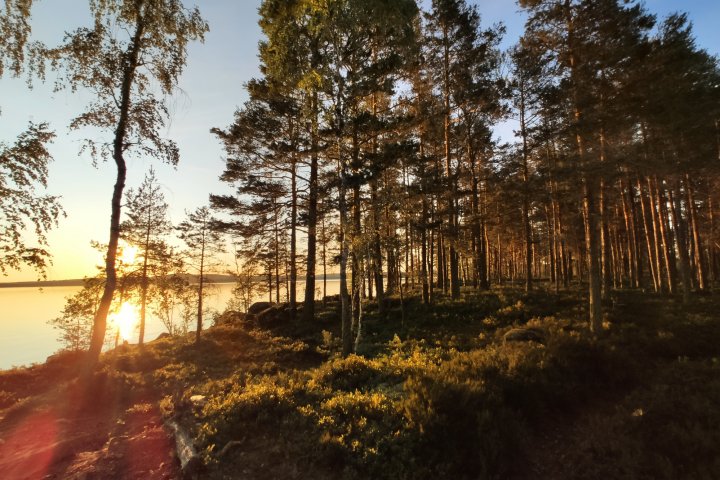 Scandtrack Kanutour Schweden 2IMG20190709212856