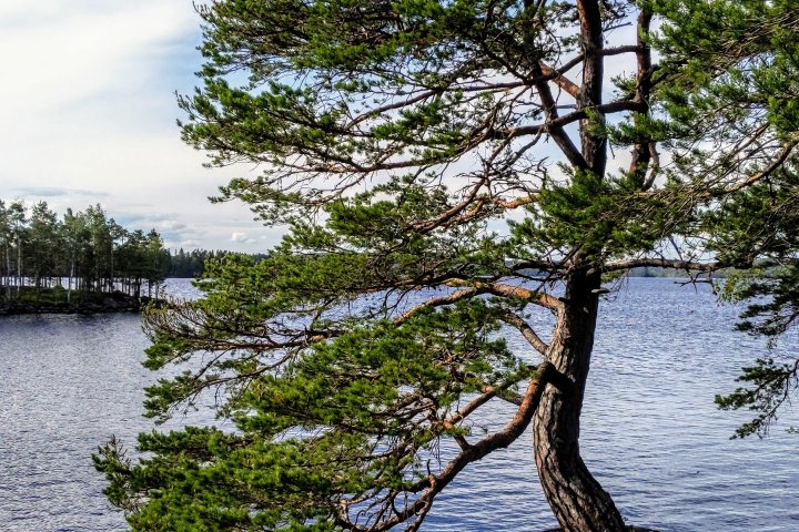 Scandtrack Kanutour Schweden IMG20190624175122