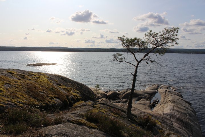 Scandtrack Kanutour Schweden 5WahnsinnsAusblick