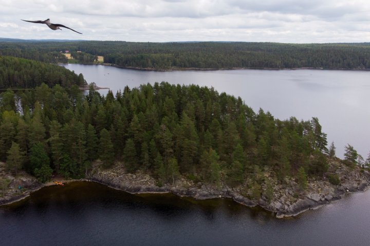 Scandtrack Kanutour Schweden B31131NicolaiSchaal0001
