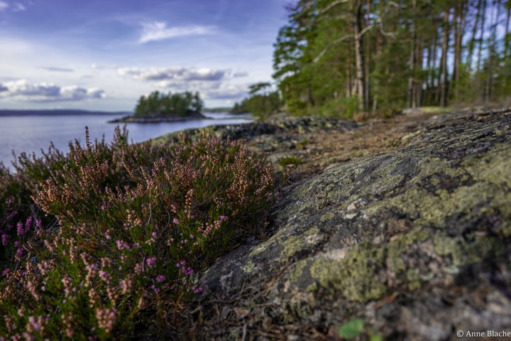 Scandtrack Kanutour Schweden DSC05398