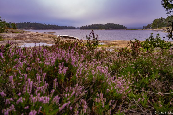 Scandtrack Kanutour Schweden DSC05411