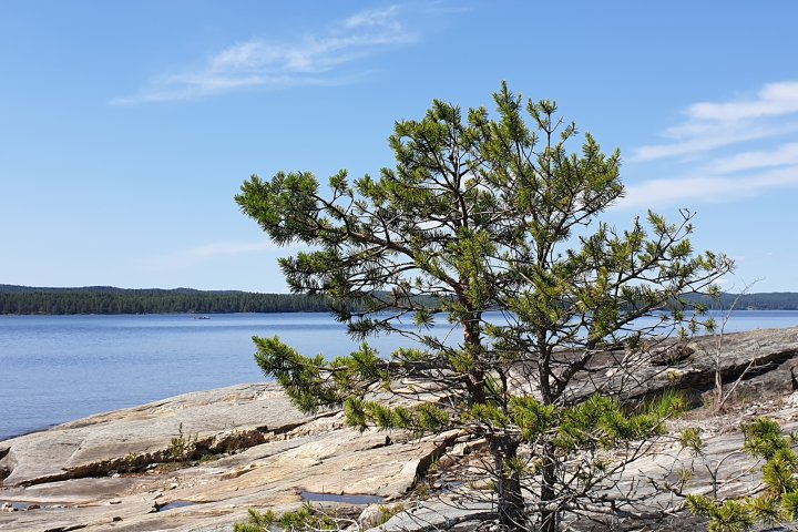 Scandtrack Kanutour Schweden 20190615131706