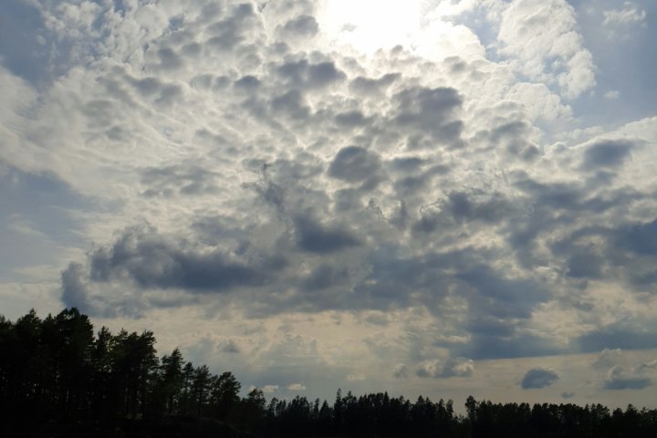 Scandtrack Kanutour Schweden 20190618170650
