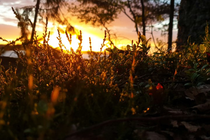 Scandtrack Kanutour Schweden 20190621220715