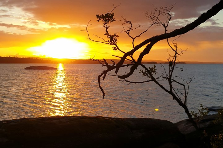 Scandtrack Kanutour Schweden 20190621220834