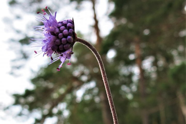 Scandtrack Kanutour Schweden IMG7424