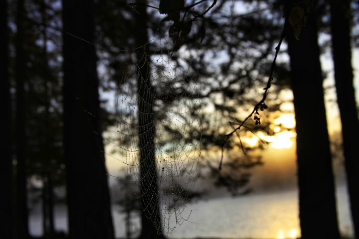 Scandtrack Kanutour Schweden 41