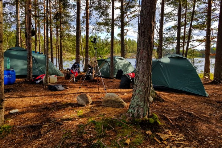 Scandtrack Kanutour Schweden 50