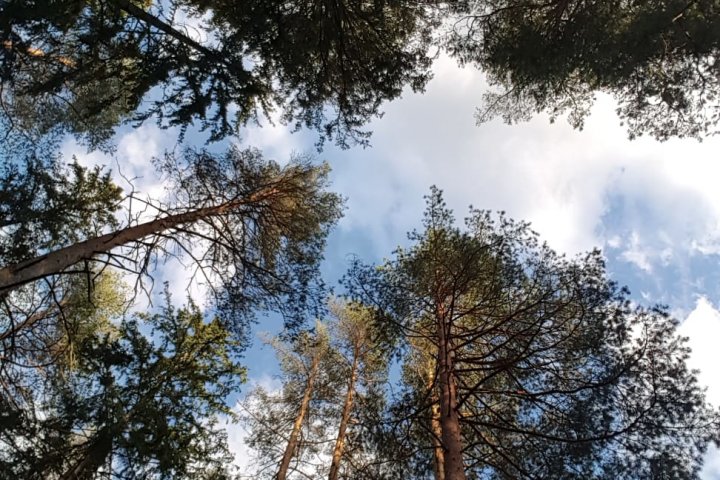 Scandtrack Kanutour Schweden IMG20191006WA0002