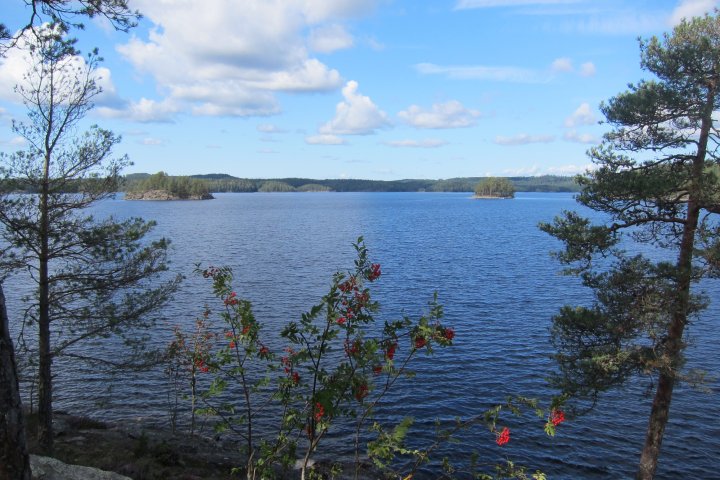 Scandtrack Kanutour Schweden 59