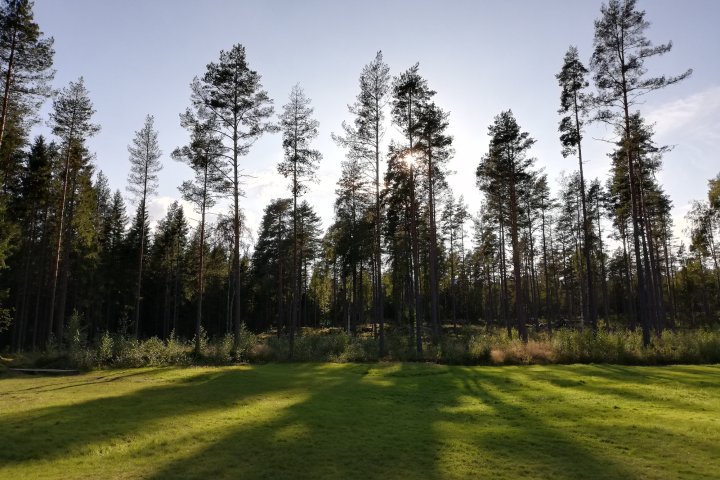 Scandtrack Kanutour Schweden IMG20190831174043