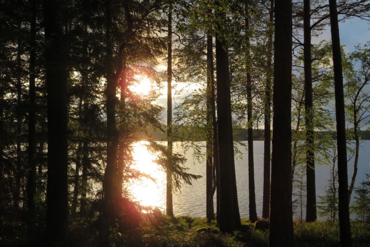 Scandtrack Kanutour Schweden IMG1590