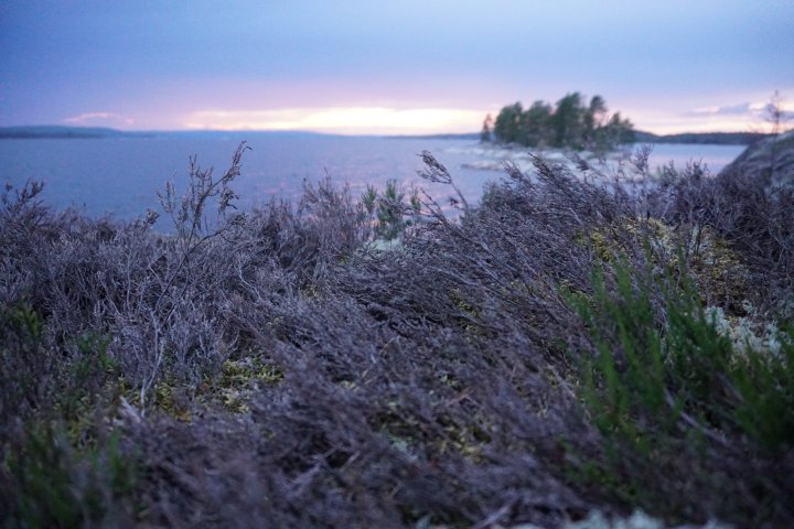 Scandtrack Kanutour Schweden DSC03447