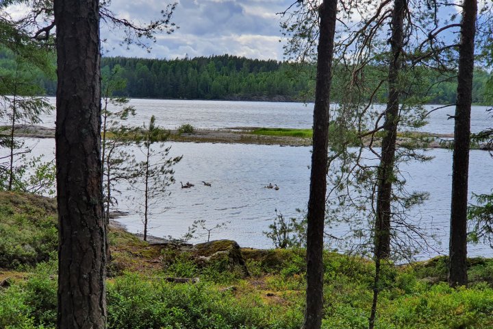 Scandtrack Kanutour Schweden 20200703171937