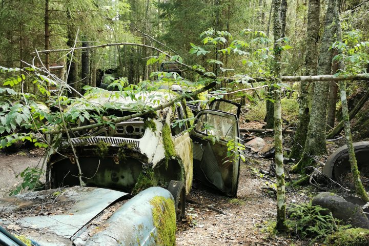 Scandtrack Kanutour Schweden IMG20200730155956