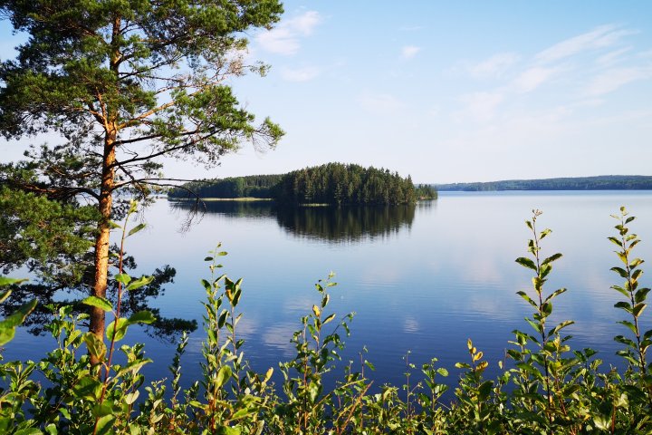 Scandtrack Kanutour Schweden IMG20200808083619