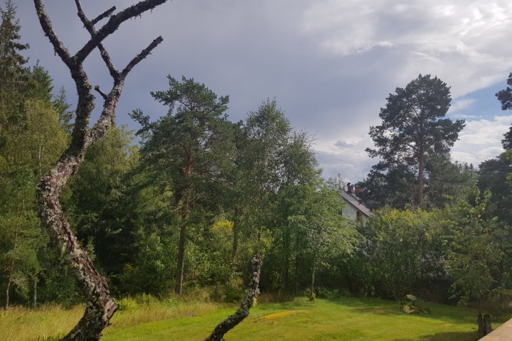 Scandtrack Kanutour Schweden 20200820134908