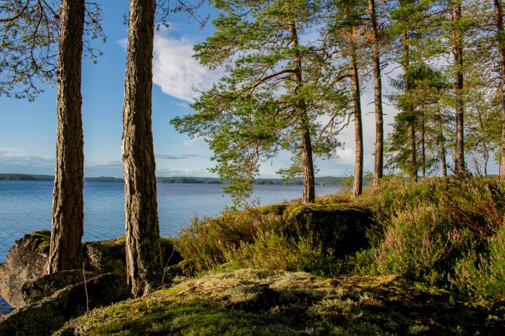 Scandtrack Kanutour Schweden DSC0883
