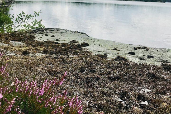 Scandtrack Kanutour Schweden 2020082613272