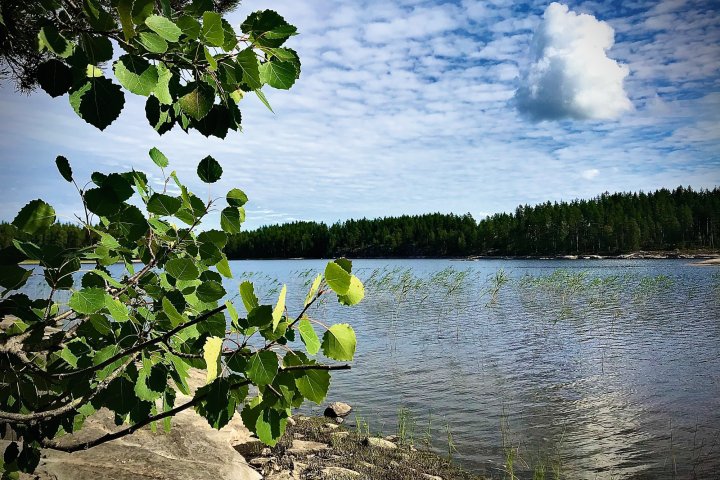 Scandtrack Kanutour Schweden 202008271200