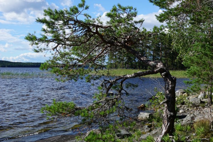 Scandtrack Kanutour Schweden DSC05765