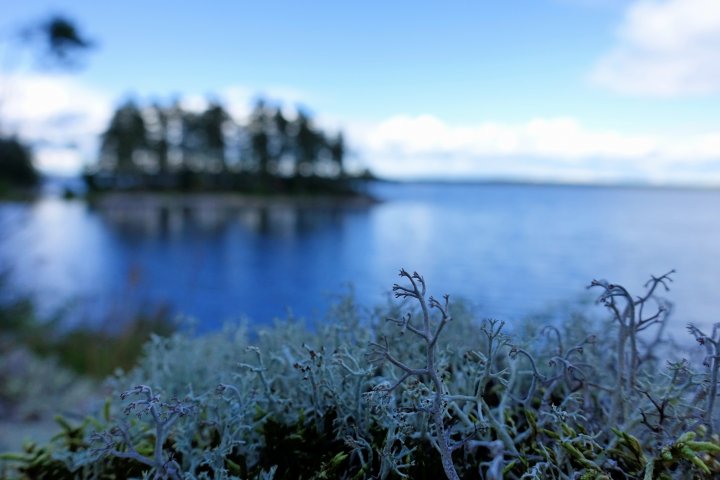 Scandtrack Kanutour Schweden DSC01296