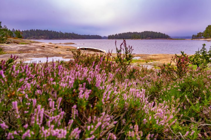 Scandtrack Kanutour Schweden DSC05411