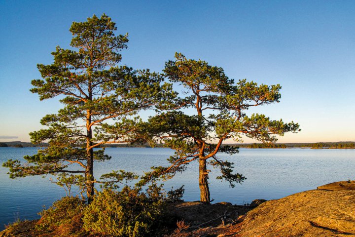 Scandtrack Kanutour Schweden IMG2412