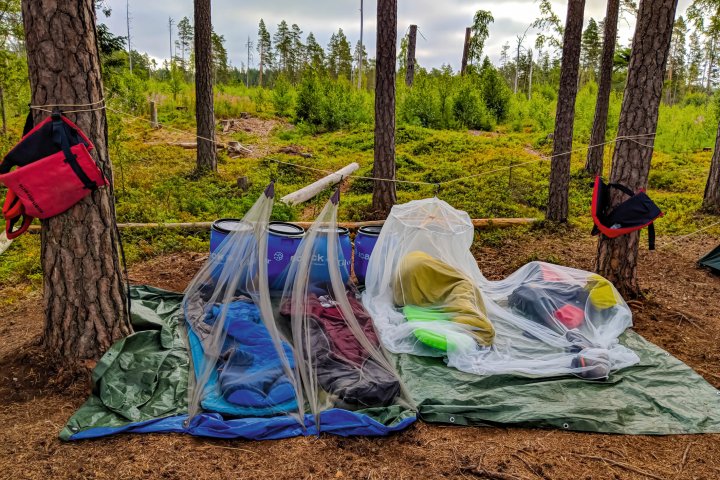 Scandtrack Kanutour Schweden IMG20180714072605