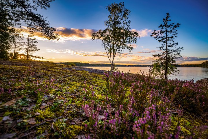 Scandtrack Kanutour Schweden 3H5A7406