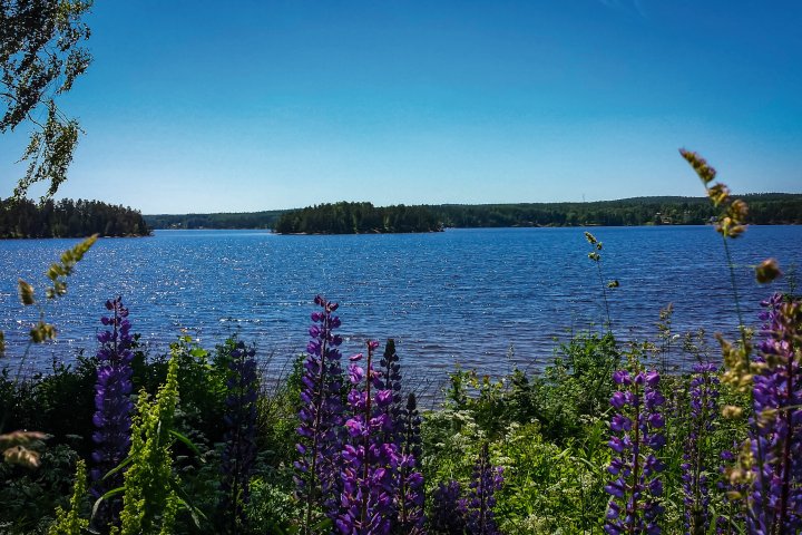 Scandtrack Kanutour Schweden 20140609135108