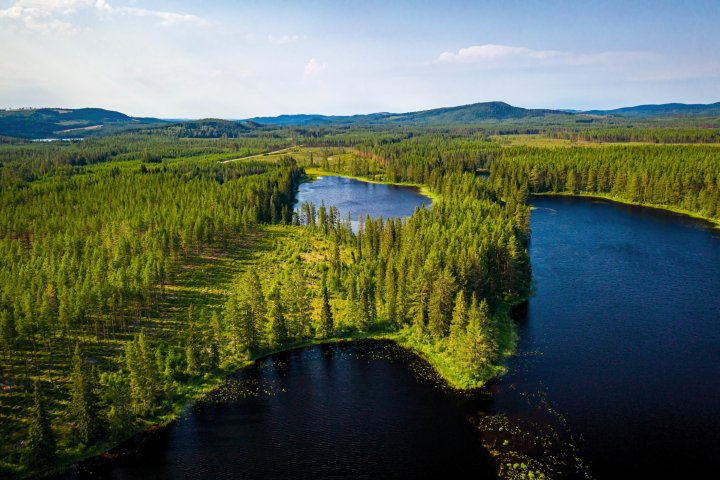 Scandtrack Kanutour Schweden DJI0091