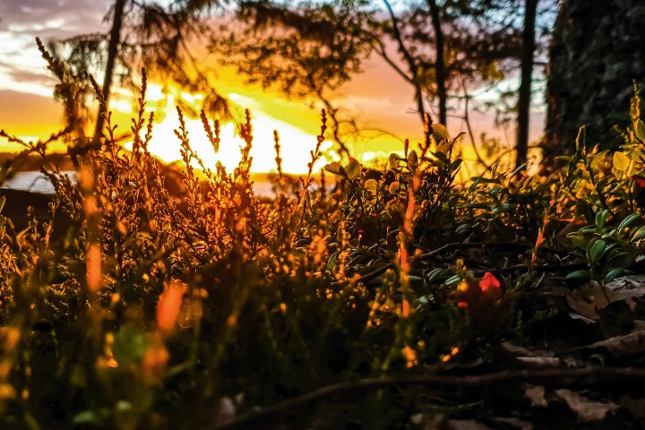 Scandtrack Kanutour Schweden 20190621220715