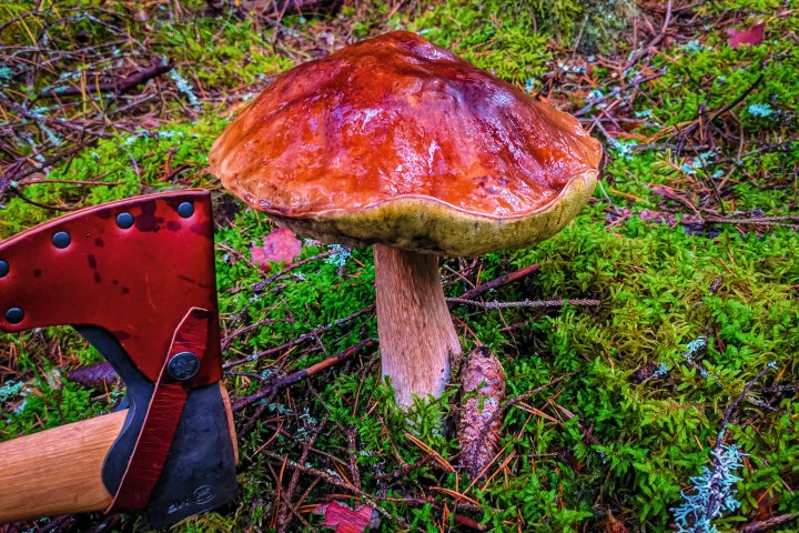 Scandtrack Kanutour Schweden IMG2018091117480701
