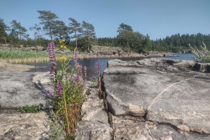 Scandtrack Kanutour Schweden IMG20210723164145384HDR