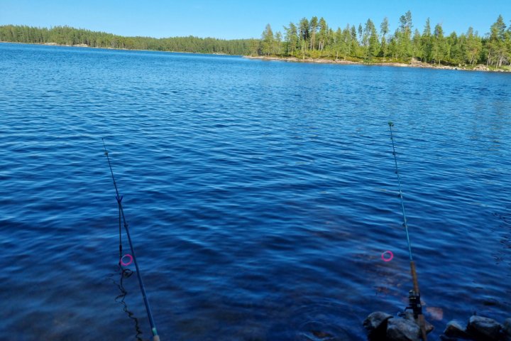 Scandtrack Kanutour Schweden 20210724174345