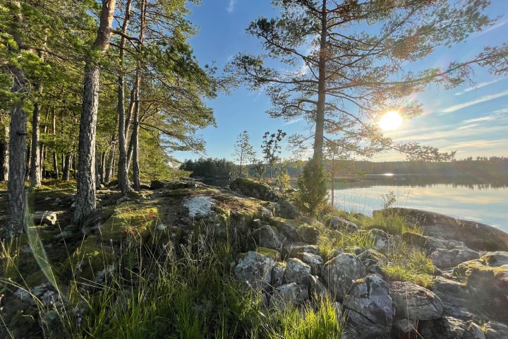 Scandtrack Kanutour Schweden image00002
