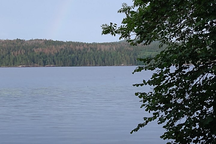 Scandtrack Kanutour Schweden IMG20210729194317899