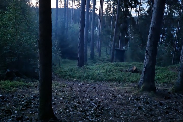 Scandtrack Kanutour Schweden bild-13