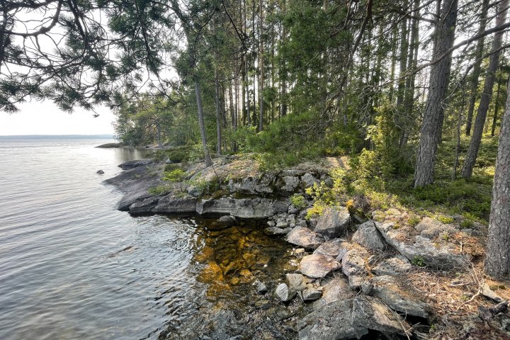 Scandtrack Kanutour Schweden image00034